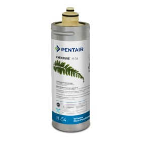 Filtro Everpure H54 973006
