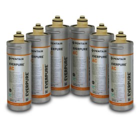 Scatola 6 Filtri Everpure AC - EV9601-12 Scatola 6 Filtri Everpure AC - EV9601-12