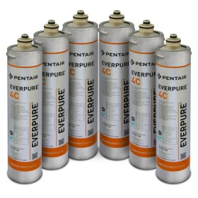 Scatola 6 Filtri Everpure 4C - EV9601-00 Scatola 6 Filtri Everpure 4C - EV9601-00