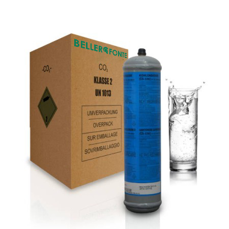 Scatola 6 bombole Co2 Usa e Getta 600gr