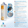 Scatola da 6 pz Filtro SWAN 2MF AG