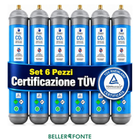 Scatola 6 bombole Co2 Usa e Getta 600 gr Swan