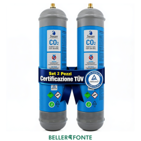 Scatola 2 bombole Co2 Usa e Getta 600 gr Swan