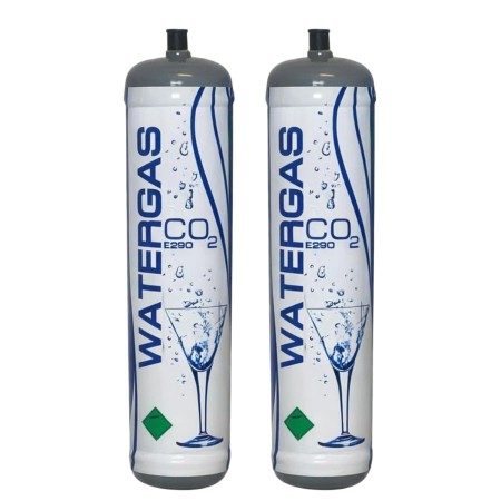 Scatola 2 bombole Co2 Usa e Getta 600 gr Watergas | bellerofonteacqua.com