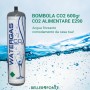 Scatola di sei bombole Co2 Usa e Getta 600 gr Watergas per erogatori | bellerofonteacqua.com