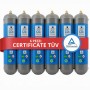 Scatola 6 Bombole CO2 Usa e Getta 600 gr Swan per Acqua